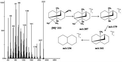 Bio-Insecticidal Nanoemulsions of Essential Oil and Lipid-Soluble Fractions of Pogostemon cablin